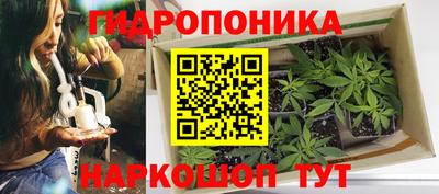 spice Гусиноозёрск